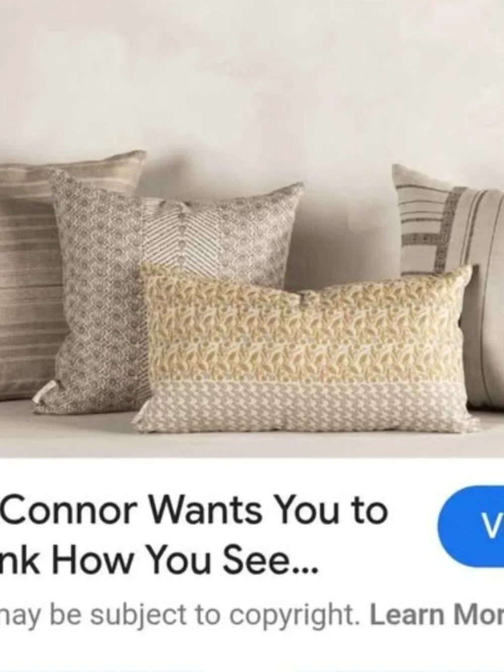 McGee & Co/Susan Connor Mariah Pillow Cover 22x22